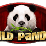 Wild Panda Spadegaming, Sensasi Slot Seru Banget!