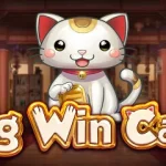 Big Win Cat: Kucing Imut, Putaran Seru Tiap Hari