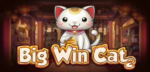 Big Win Cat: Kucing Imut, Putaran Seru Tiap Hari